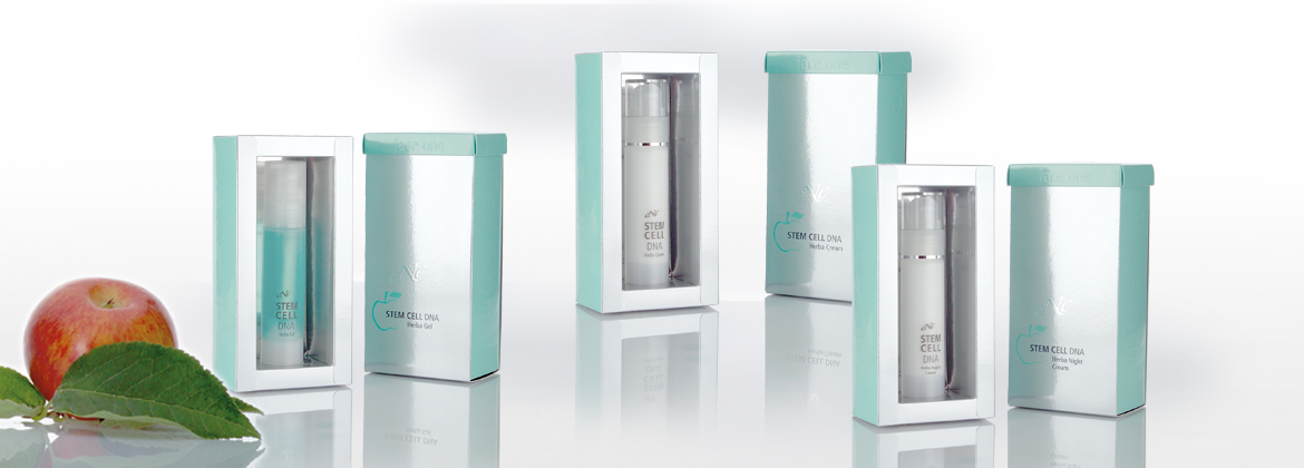 CNC Stem Cell DNA CNC Stem Cell DNA